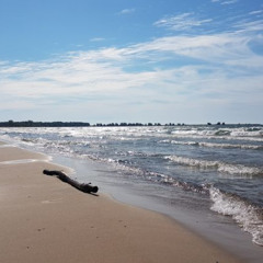 How Paul McElligott is Rewilding Wolfe Island