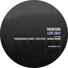 Triebfeder - Transcendental Echoes [Crossfade Sounds]