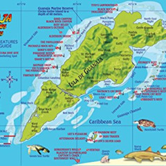 GET KINDLE 📔 Guanaja Bay Islands Honduras Dive Map & Coral Reef Creatures Guide Fran