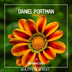 Daniel Portman - Pulse (Southmind Edit)