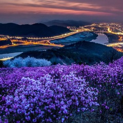 Jung Soo - Ra - Delight ( Reply 1988 OST ) - 정수라 - '환희' [가요톱10, 1988]