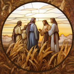 906. He is Lord based on Luke 6_1–5