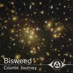 Bisweed - Cosmic Journey EP