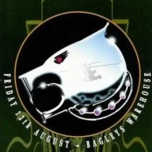 Grooverider @ Desert Storm 1994 ft. Navigator, The Ragga Twins, 5ive-0, Moose.