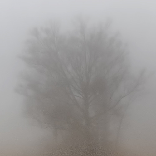 Erdgesang mit Engelschor