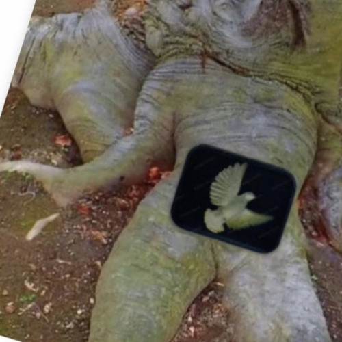 ֆ E R T R ༼༽ L I N ft. 3-66-7