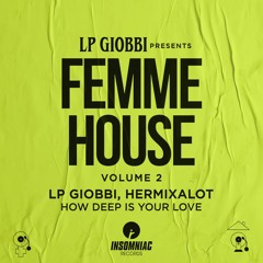 LP Giobbi & Hermixalot - How Deep Is Your Love