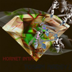 Hornet Intima (Feat Nadsy.i)