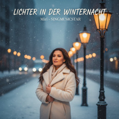 Lichter in der Winternacht