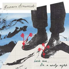Respuesta Alternativa #12 - Love me, On A Windy Night