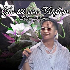 Cho Tôi Con VinFlow (TriTruong Remix)