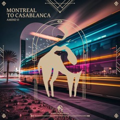 Amine'O - Montreal To Casablanca (Cafe De Anatolia)