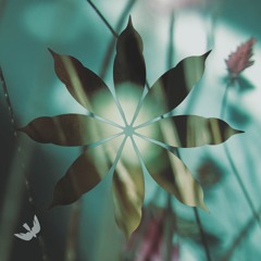 BLANCAh - Estranha Calmaria (Neoclassic Remix)