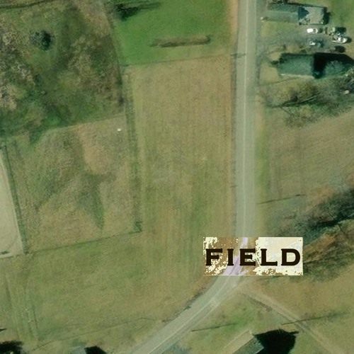 Field