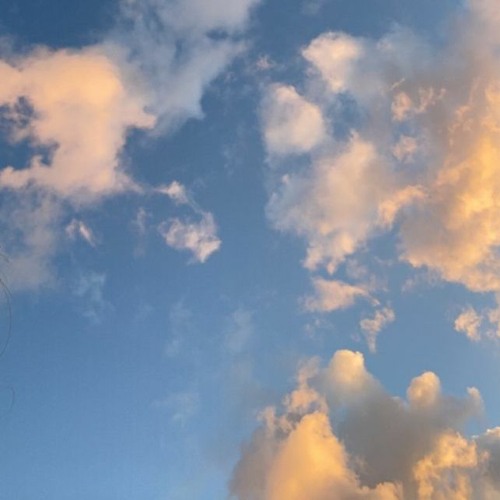 florescence✧･ﾟ: *✧✿