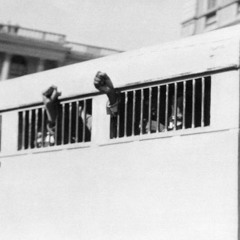 Maxi Zelbeck - LST#13