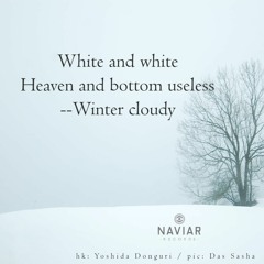 Yin Is Useless Under The Sky (naviarhaiku421)