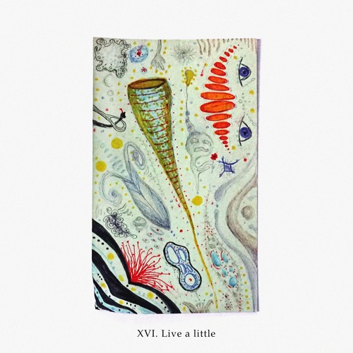 Live a little