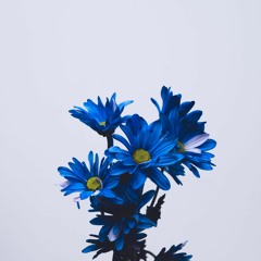 FLOWERS NOW (PROD. KORPORAL K)