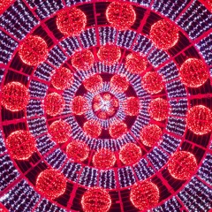 Holiday | Live Stream - Dec 20, 2018