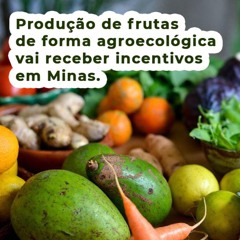 Produção de frutas de forma agroecológica vai receber incentivos em Minas