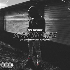 TOG Shawno Rich in Life (feat. CHARLESGOTCASH & TOG Kobe)