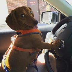 uber album of awesomeness