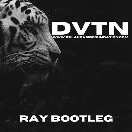 DVTN (Ray Bootleg)