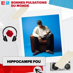 BPM (ex Sessionlab) - Larencontre Hippocampe Fou