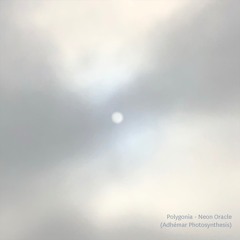 Polygonia - Neon Oracle (Adhémar Photosynthesis)