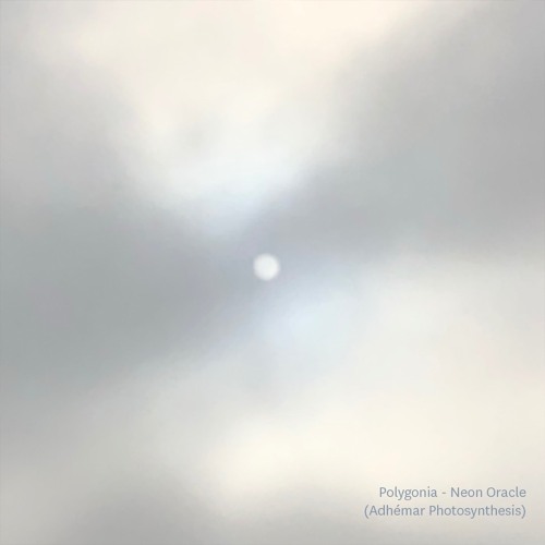Polygonia - Neon Oracle (Adhémar Photosynthesis)