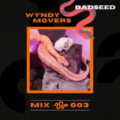 Wyndy Movers~003