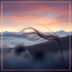 Warmer Abendwind * Instrumental