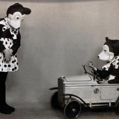 Musa Er Høyteknologisk Og Optisk