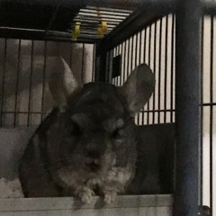 WALK IT OUT. (prod. mathiastyrner)