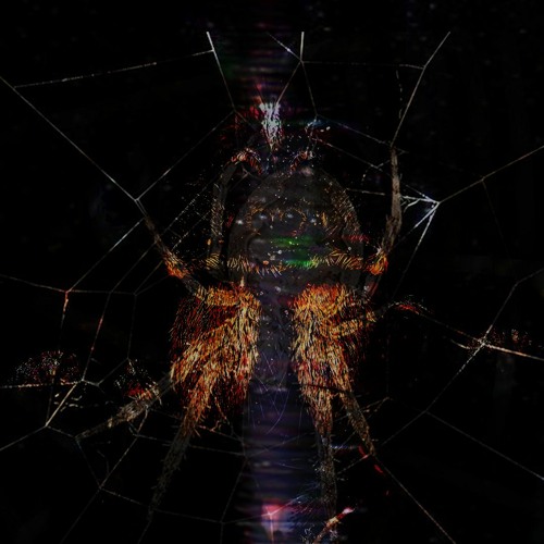 INSECTRAP prod.(Lost x Daeq x Aseuth x Hxdroyoung)