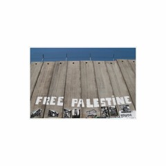 209, Jamal Juma' on Israeli state backed settler attacks on West Bank Palestinians