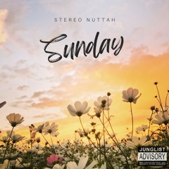 Stereo Nuttah - Sunday