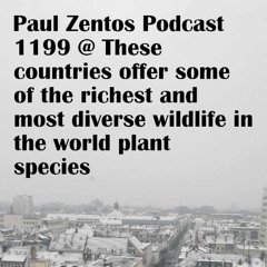 Paul Zentos Podcast 1199 @ These countries offer some of the richest and most diverse wildlife in the world plant species - Andenkondor ( Cusco ) 09 08 2025