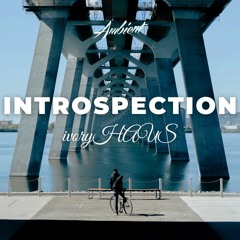 ivoryHAUS - Introspection