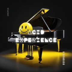 Acid Experience (Ludovico Einaudio - Experience Remix)
