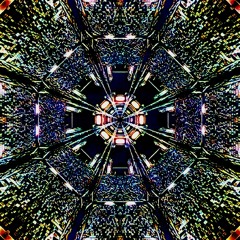 Echo of the Soul: The Beat Within
