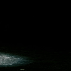 Echo of the Void