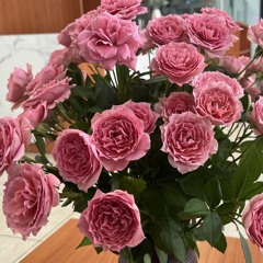 Nhin nhung mua thu di 17 thg 9, 2025.m4a