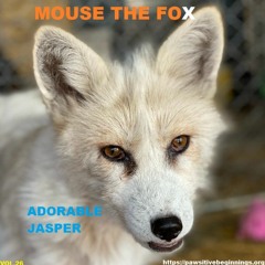 MOUSE THE FOX - ADORABLE JASPER - VOL.26 - 27.06.2021