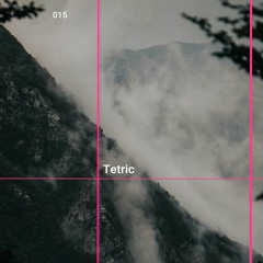 Pfast 015 - Tetric (vinyl mix)
