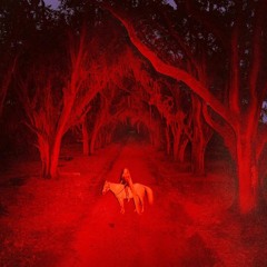 anton4k - starz (sef) [eternal bliss exclusive]