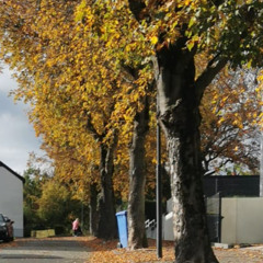 Haloweenvibes 3 (Mastered Phaselimiter Gui)