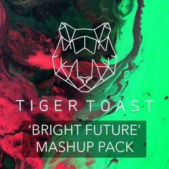 Tiger Toast 'Bright Future' Mashup Pack (2021) [10 TRACKS]