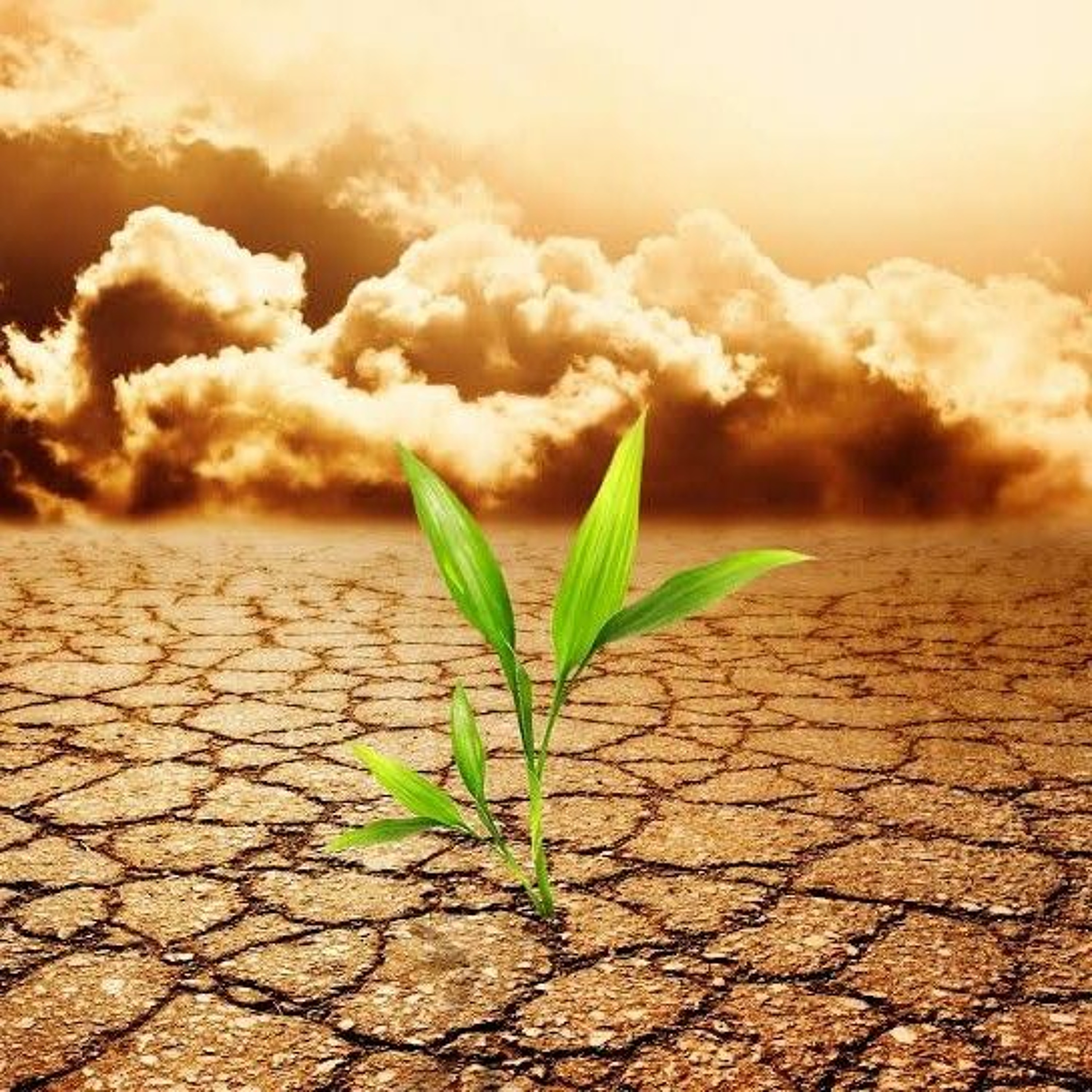 Ofício das Leituras